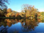 Bij de grote bronvijver in het Springendal